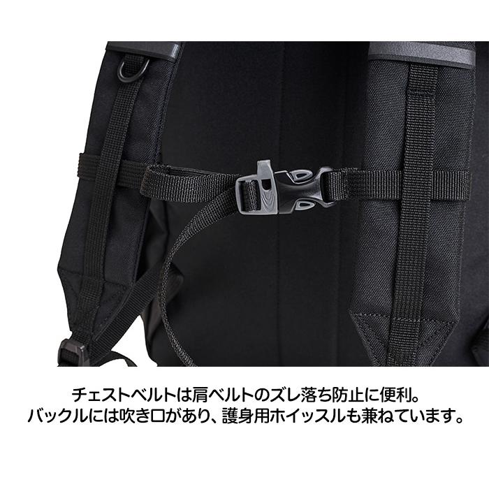 Coleman コールマン デイパックミニ 12L キッズ リュック : AK Coleman コールマン デイパックミニ 12L キッズ リュック : AK