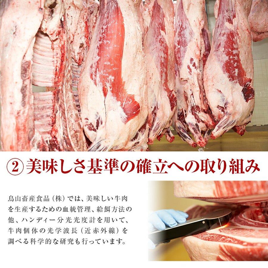 赤城和牛 リブロース ステーキ 600g 300g×2 数量限定 送料無料 冷凍 ステーキ肉｜akagi-beef｜13