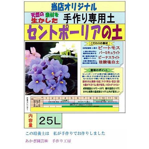 ⭐︎専用⭐︎オリジナルセントポーリア用土 セントポーリア 専用培養土 1リットル : フラワーショップ POCOLOCO