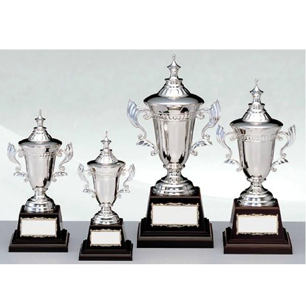 最大91 オフ 優勝カップ As9102d 野球 空手 ゴルフ サッカー レプリカ 全ジャンルに優勝杯 Materialworldblog Com