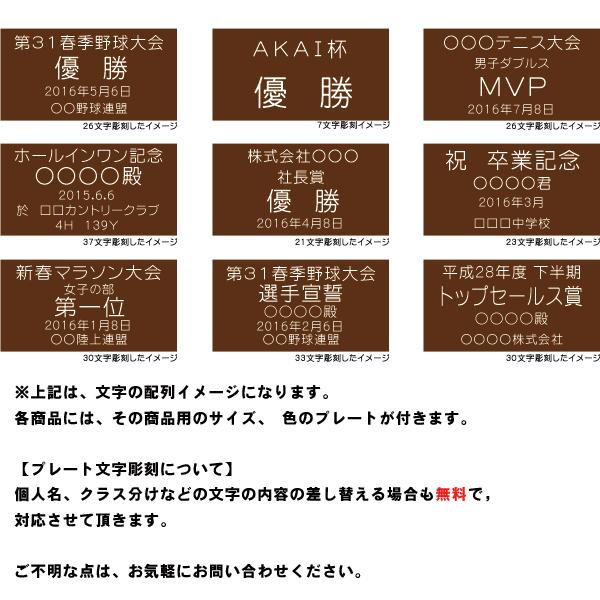 BW-2005-A ゴルフ用クリスタル ゴルフコンペの記念品、景品には、ガラス製の高級なゴルフ用のクリスタルトロフィーィーの画像