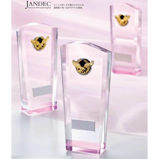 クリスタルブロンズ　CM363C 社内表彰・企業表彰・周年記念・コンテスト用に高級感あるガラス製トロフィー・クリスタルトロフィー | 