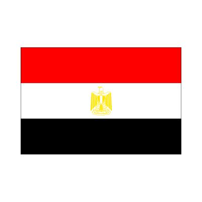 【2022A/W新作★送料無料】 エジプト国旗90×135cm 万国旗