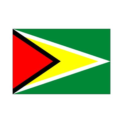 ガイアナ国旗120×180cm