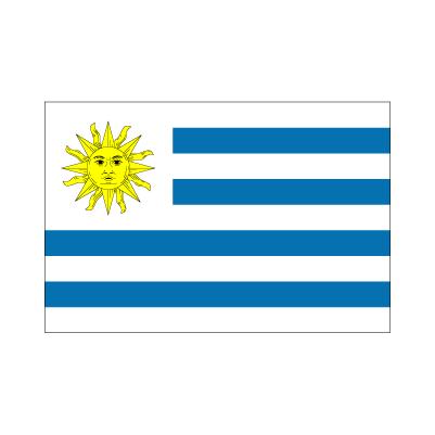 ウルグアイ国旗140×210cm