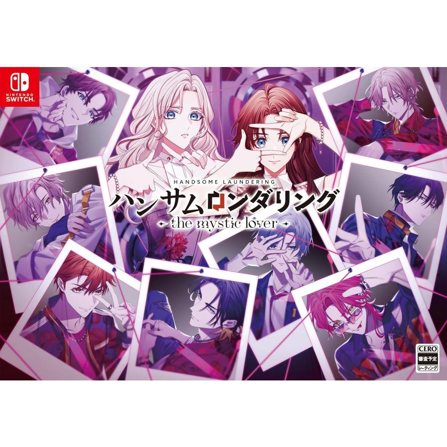 【新品未開封品】　ハンサムロンダリング特装版 新品】 ハンサムロンダリング -the mystic lover- 特装版 Nintendo