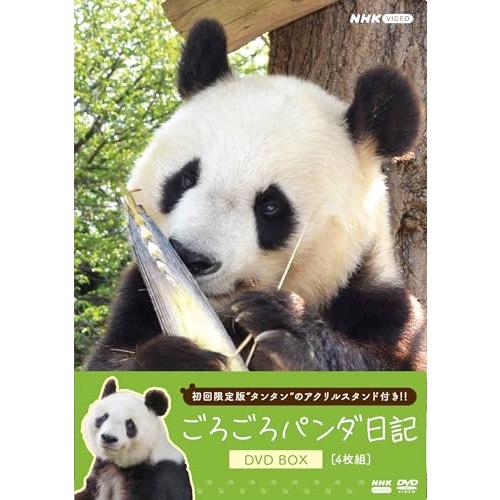 オリ特付】【DVD】【予約】 ごろごろパンダ日記 DVD BOX 全4枚(初回