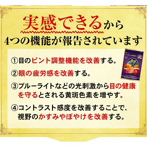 【3個セット★送料無料】リフレ ブルーベリー＆ルテインα（31粒入） ブルーベリーサプリ 眼精疲労 目の健康改善サポート｜akakabeshop｜11