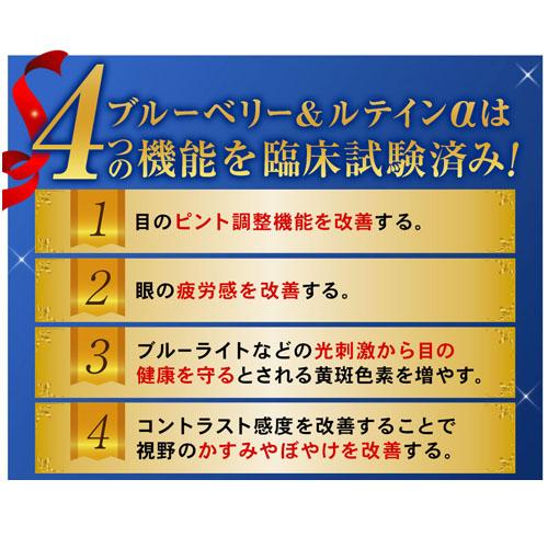 リフレ 【送料無料】リフレ ブルーベリー＆ルテインα（31粒入