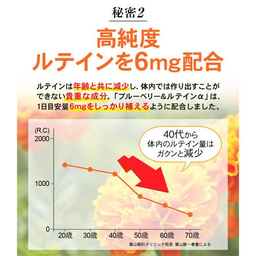 リフレ 【送料無料】リフレ ブルーベリー＆ルテインα（31粒入