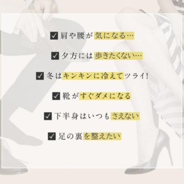 ネコポス】【送料無料☆正規品】AIRISE エアライズ プラス 【ネイビー