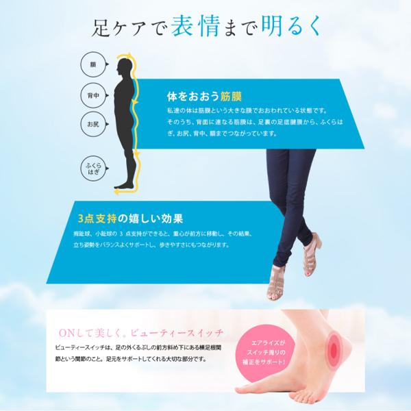 ネコポス】【送料無料☆正規品】AIRISE エアライズ プラス 【ネイビー