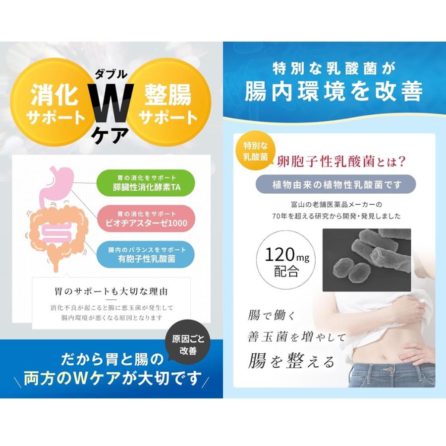 明治薬品 【送料無料】ラクトロン錠（60錠入） 整腸 消化薬 乳酸菌