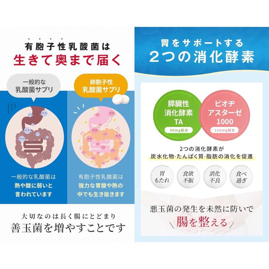 明治薬品 【5個セット☆送料無料】ラクトロン錠（60錠入） 整腸 消化薬