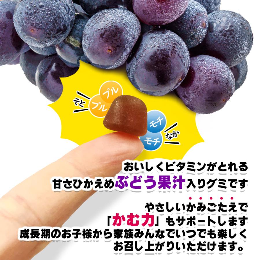 【10個セット★送料無料】マグナス グミサプリ ビタミン 60粒 20日分 サプリメント  健康サプリ グミ/ぶどう果汁入り おいしい マルチビタミン_5