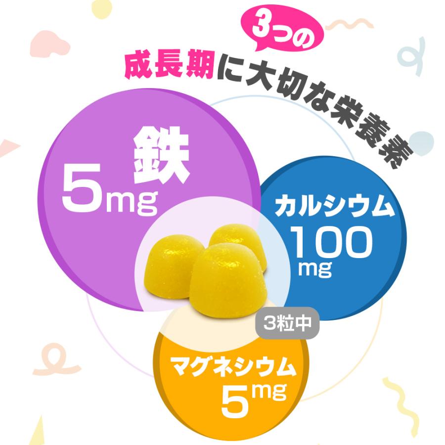 【10個セット★送料無料】マグナス グミサプリ 鉄\u0026カルシウム 60粒 20日分 グミ パイナップル果汁入り おいしい マルチミネラルの画像