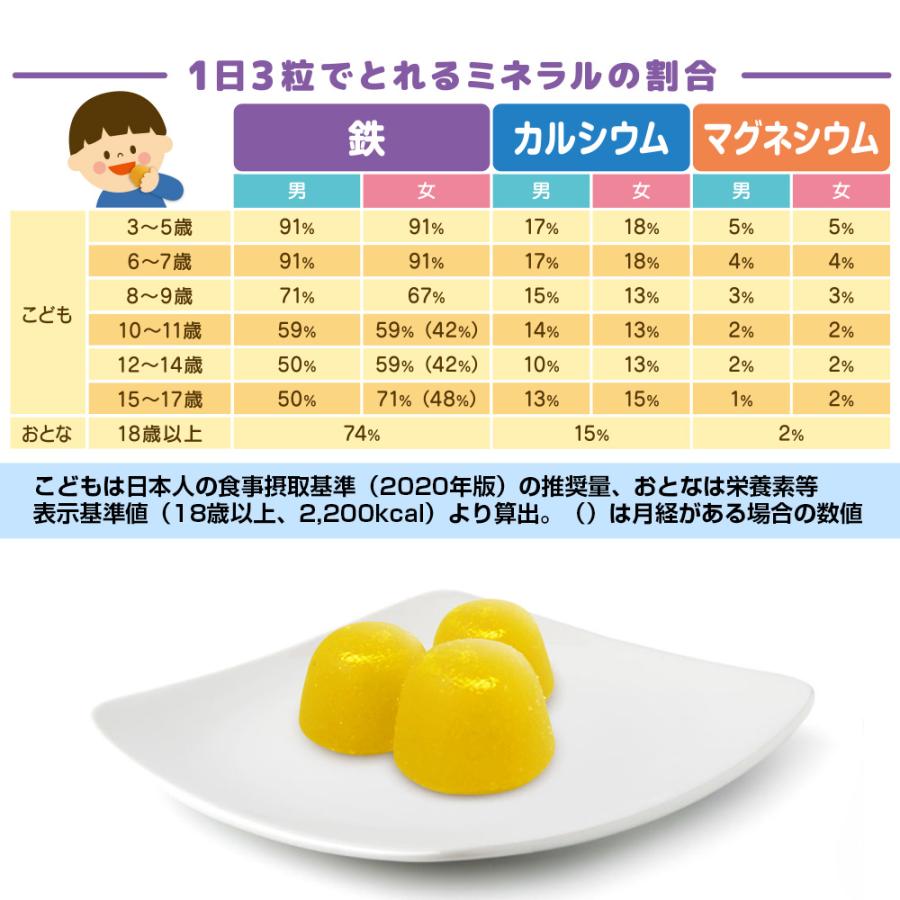【10個セット★送料無料】マグナス グミサプリ 鉄\u0026カルシウム 60粒 20日分 グミ パイナップル果汁入り おいしい マルチミネラルの画像