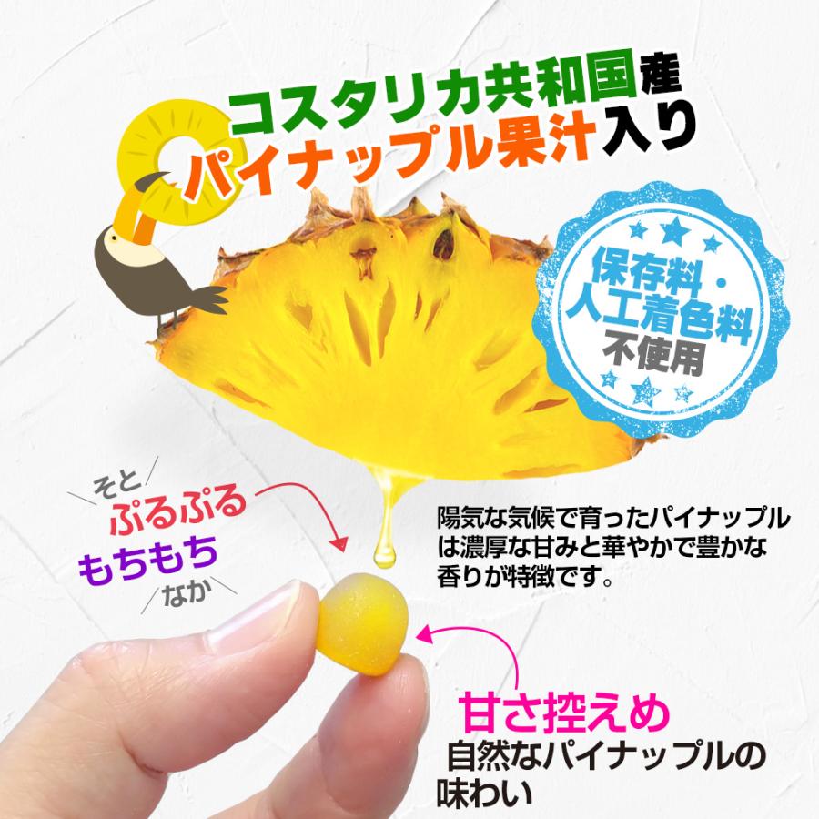 【10個セット★送料無料】マグナス グミサプリ 鉄\u0026カルシウム 60粒 20日分 グミ パイナップル果汁入り おいしい マルチミネラルの画像