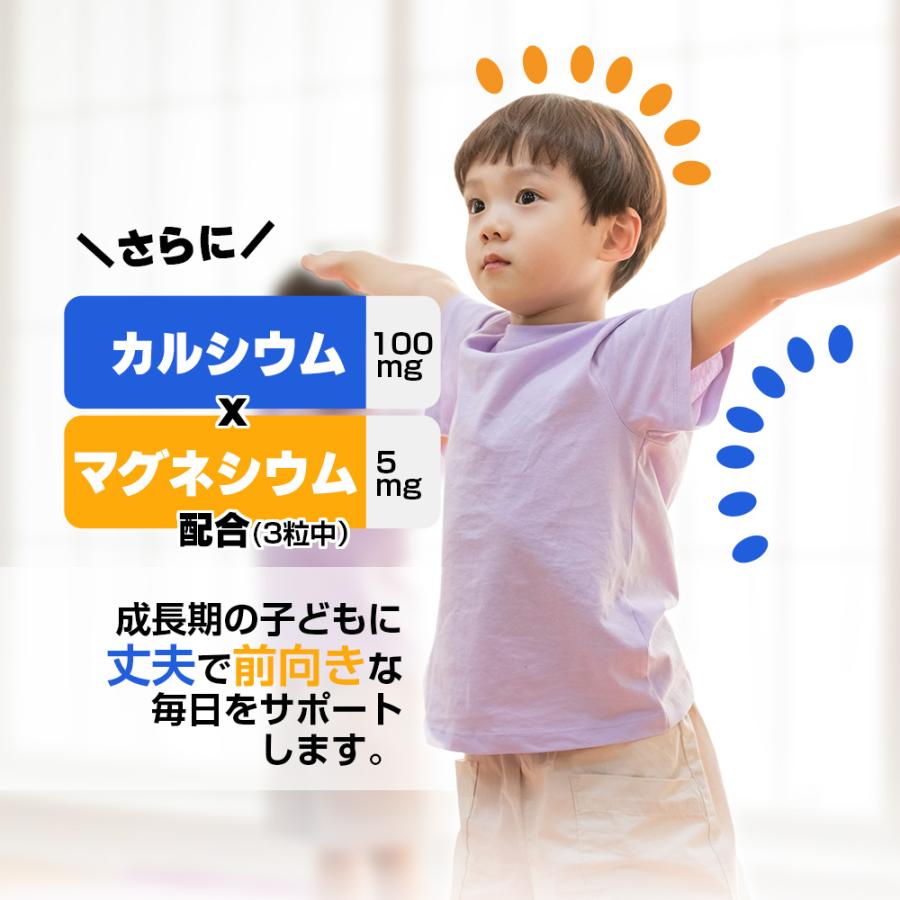 【10個セット★送料無料】マグナス グミサプリ 鉄\u0026カルシウム 60粒 20日分 グミ パイナップル果汁入り おいしい マルチミネラルの画像