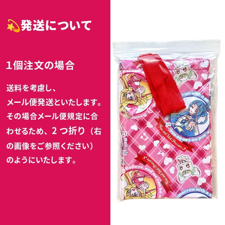 メール便対応個数・・1点) キミとアイドル プリキュア レッスンバッグ