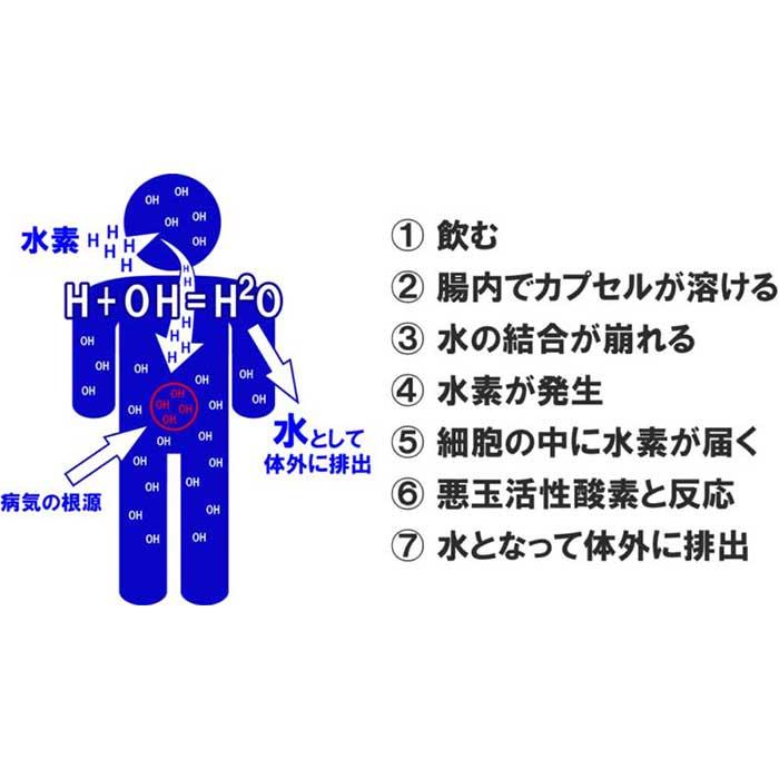 サプリメント 美容 健康 New Dr's水素セレブ 30日分 90粒 ＼ポイント11倍／ 水素サプリ NMN配合 国産 ゼオライト ミネラル クエン酸 水素 サプリ 食品の画像