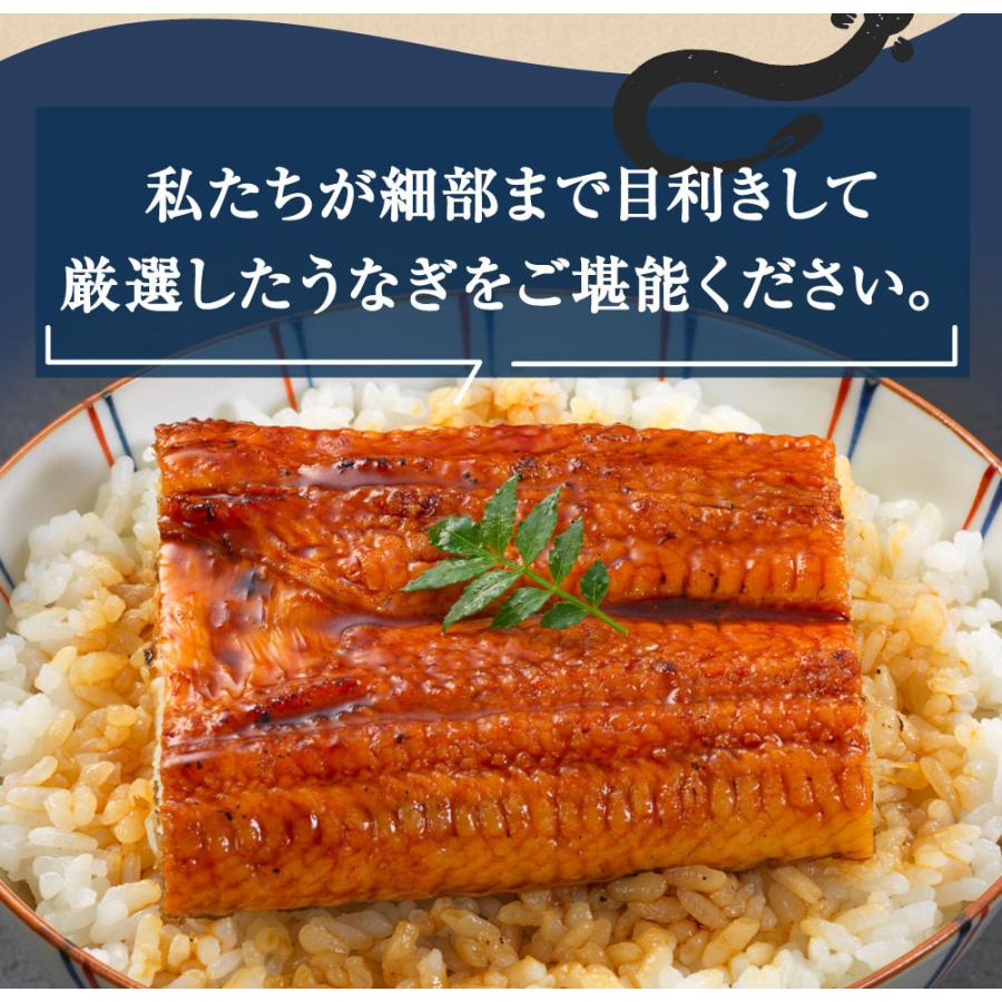 うなぎ 国産 熨斗対応 あかまる定番 鹿児島県産 うなぎ蒲焼（大/約167g）2尾入り たれ+山椒付 丑の日 土用丑 土用 鰻 蒲焼 かば焼き あかまる専稼｜akamaru-senka｜08