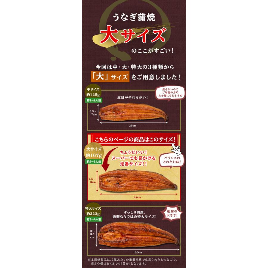 うなぎ 国産 熨斗対応 あかまる3種セット 鹿児島県産 うなぎ蒲焼（大/約167g）1尾+きざみ鰻50g×2+カット鰻50g×2 たれ+山椒付 かば焼き あかまる専稼｜akamaru-senka｜06