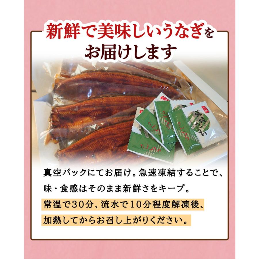 うなぎ 国産 熨斗対応  お試しセット 鹿児島県産 うなぎ蒲焼（中/約125g）2尾+カットうなぎ50g×2袋＋たれ+山椒付 丑の日 かば焼き あかまる専稼｜akamaru-senka｜17