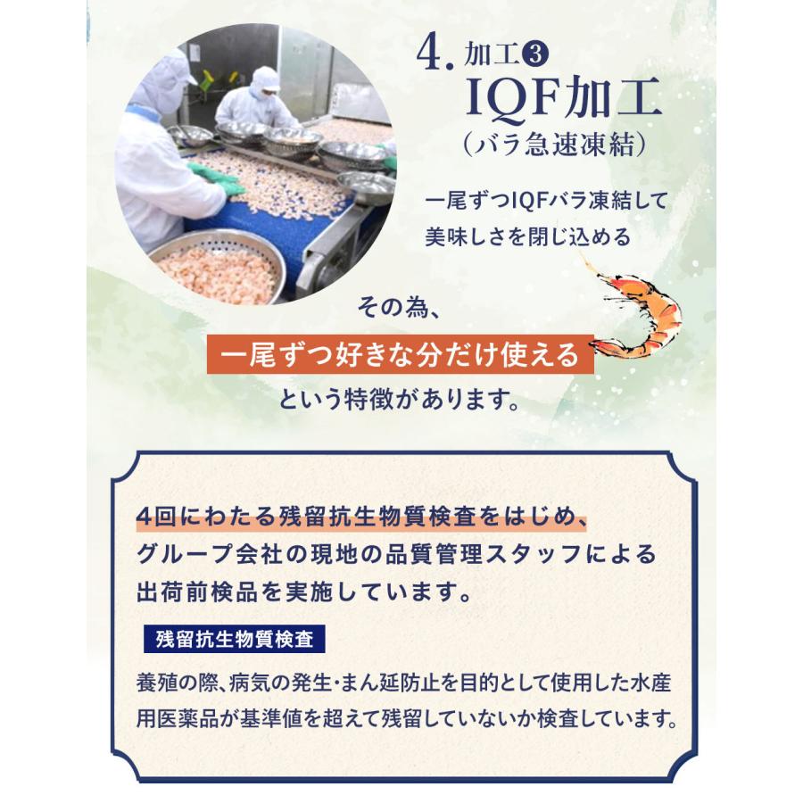 生食用スチームむきえび 500g  約80尾〜95尾 プレゼント スチーム むきえび ボイルえび むきエビ むき海老 エビ 海老 剥きえび 剥きエビ あかまる専稼｜akamaru-senka｜12