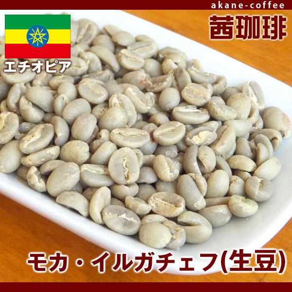 コーヒー生豆　モカ・イルガチェフ（生豆）[200g]  アフリカ/エチオピア産 | 