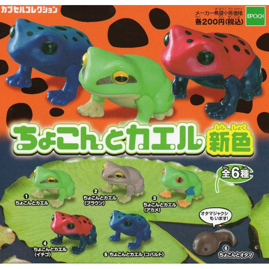epoqe □ちょこんとカエル 新色□全6種セット : Collectors Shop AKANE
