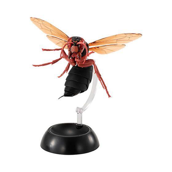 Suzumebabachi すずめばち02 単品 チャイロスズメバチ A036 Collectors Shop Akane 茜yahoo 店 通販 Yahoo ショッピング