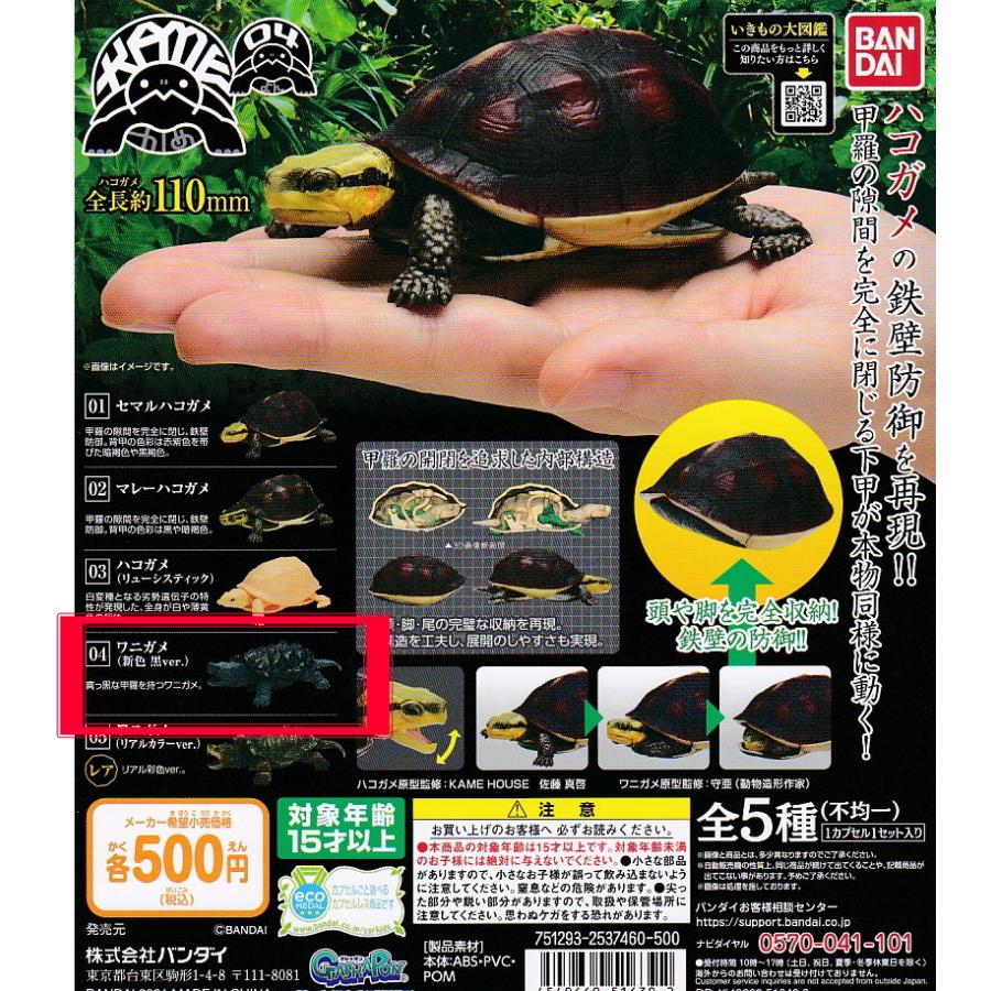 高品質 いきもの大図鑑 かめ04 単品 04ワニガメ 新色 黒ver