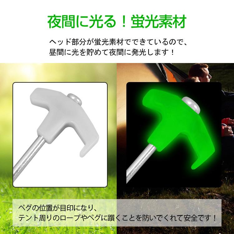 Hill Stone（ヒルストーン） ペグ 4本セット 25cm スチール 蓄光