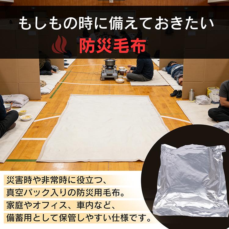 毛布 シングル 5枚セット 真空パック 災害用毛布 難燃 日本防災協会