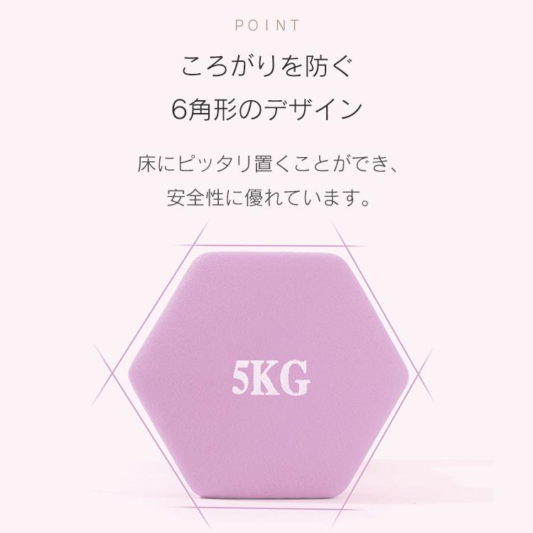 Hill Stone ダンベル 5kg 2個セット 合計10kg カラーダンベル Hill Stone ダンベル 5kg 2個セット 合計10kg カラーダンベル