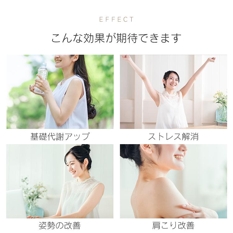 ダンベル 3kg 2個セット 筋トレ カラーダンベル トレーニング ダイエット ジム 自宅 男性 女性 鉄アレイ ブルー レッド ウェイト エクササイズ 腕 胸 | Hill Stone | 07