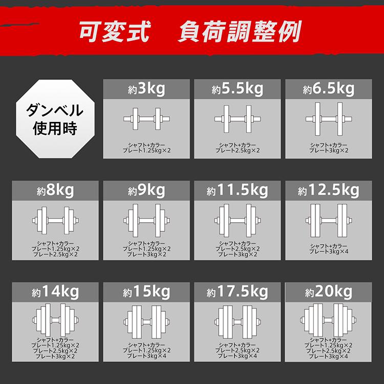 Hill Stone（ヒルストーン） ダンベル 20kg 可変式 40kg ダンベル