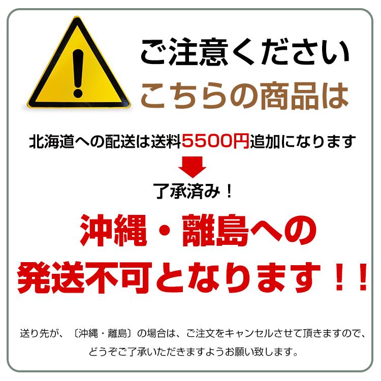 ルーフボックス 取付金具 鍵付き 車用 汎用 450L 車載 デュアル サイド 盗難防止 収納 荷物 屋根 トランク ボックス カー用品 ee326h 営業所止め センター止め｜akaneashop｜05