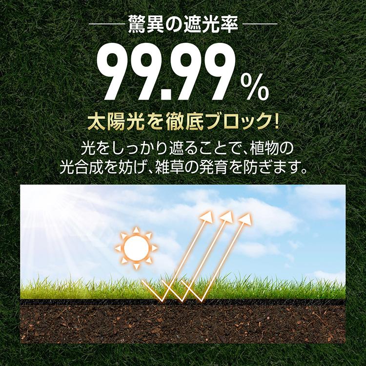 防草シート 除草シート ぼうそうシート 黒マルチ 1m×30m 防草 雑草