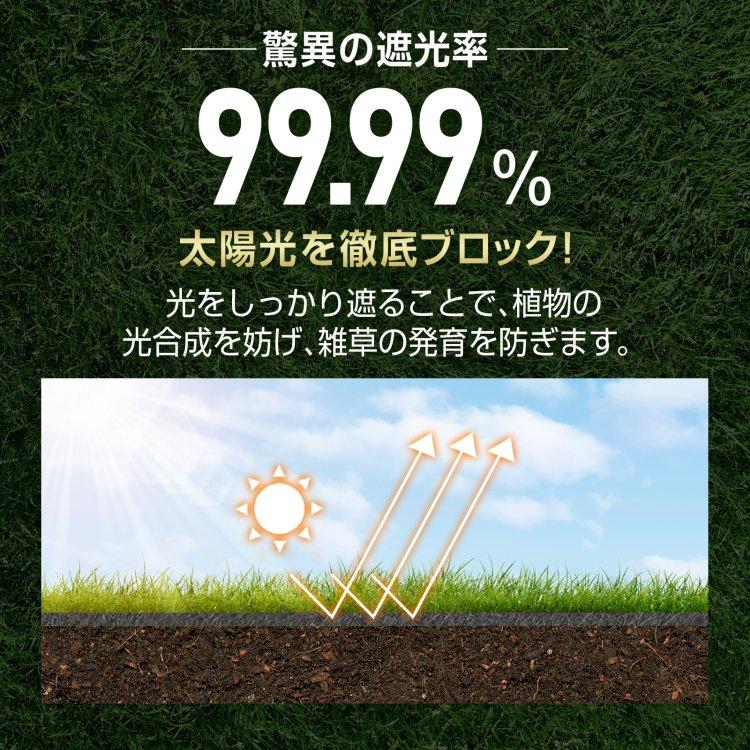 新品未使用品　防草シート1m×50m　PET素材 2巻　ピン100本セット販売 防草シート1m×50mPET素材100g /m2 2巻 押さえピン100本