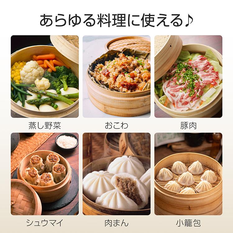 せいろ せいろ蒸し器 21cm 蒸し器 フライパン蒸し器 セット のせるだけ
