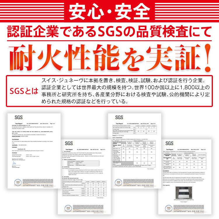 プロジェクタースクリーン 100インチ 16:9 電動 吊り下げ式 プロジェクタースクリーン 100インチ 16:9 電動 吊り下げ式