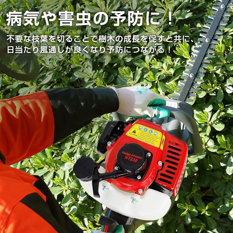 エンジンヘッジトリマー 両刃 約590mm 植木 生け垣 庭園 草刈機 刈払機 刈り込みばさみ 剪定バリカン 両刃ヘッジトリマー 庭木バリカン DIY 工具 剪定 ny333 アカネA SHOP PayPayモール店 - 通販 - PayPayモール エンジンヘッジトリマー 両刃 約590mm 植木 生け垣 庭園 草刈機 刈払機 刈り込みばさみ 剪定バリカン 両刃ヘッジトリマー 庭木バリカン DIY 工具 剪定 ny333 アカネA SHOP PayPayモール店 - 通販 - PayPayモール