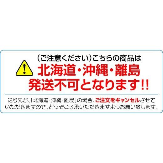 カーサイドタープ 車タープ サイドテント キャンプ テント 車用 オーニング サイドタープ カーサイドオーニング ロール タープテント 日よけ 簡単設営 庭 od313｜akaneashop｜10