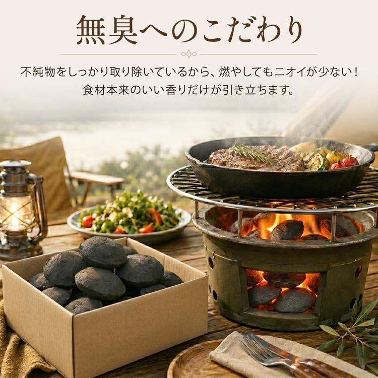 Hill Stone（ヒルストーン） オガ炭 10kg 成形炭 バーベキュー 炭 木炭
