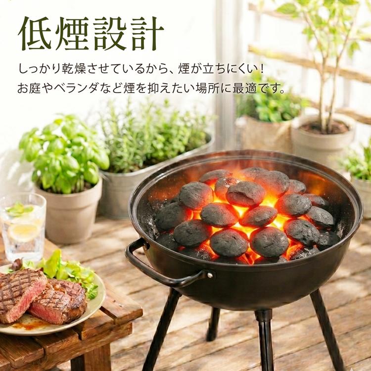 激安！✨激レア！！炭素質タイプ　オルゲイユ隕石　標本　ｓ Hill Stone（ヒルストーン） オガ炭 10kg 成形炭 バーベキュー 炭 木炭