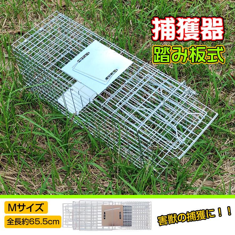 捕獲器 折りたたみ 踏板式 Mサイズ 全長65.5cm アニマルトラップ 箱罠