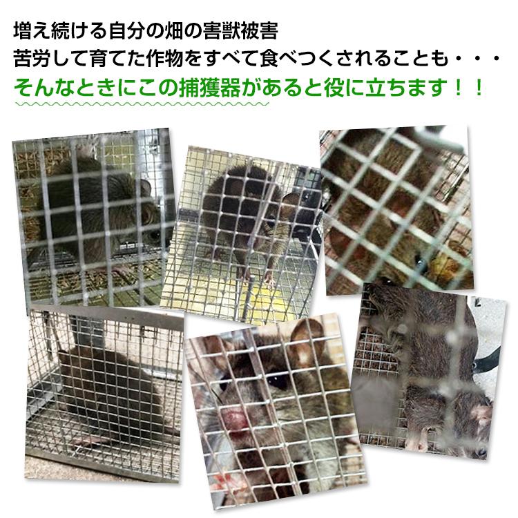 捕獲器 折りたたみ 踏板式 Sサイズ 全長60.5cm アニマルトラップ