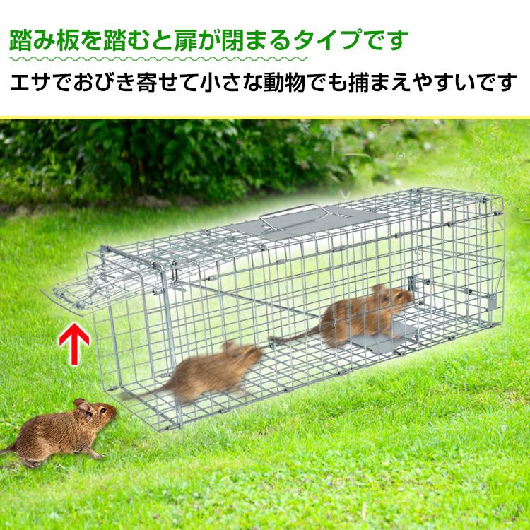 捕獲器 折りたたみ 踏板式 Sサイズ 全長60.5cm アニマルトラップ 箱罠